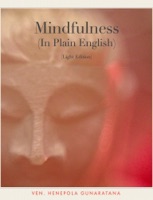 Mindfulness (In Plain English)