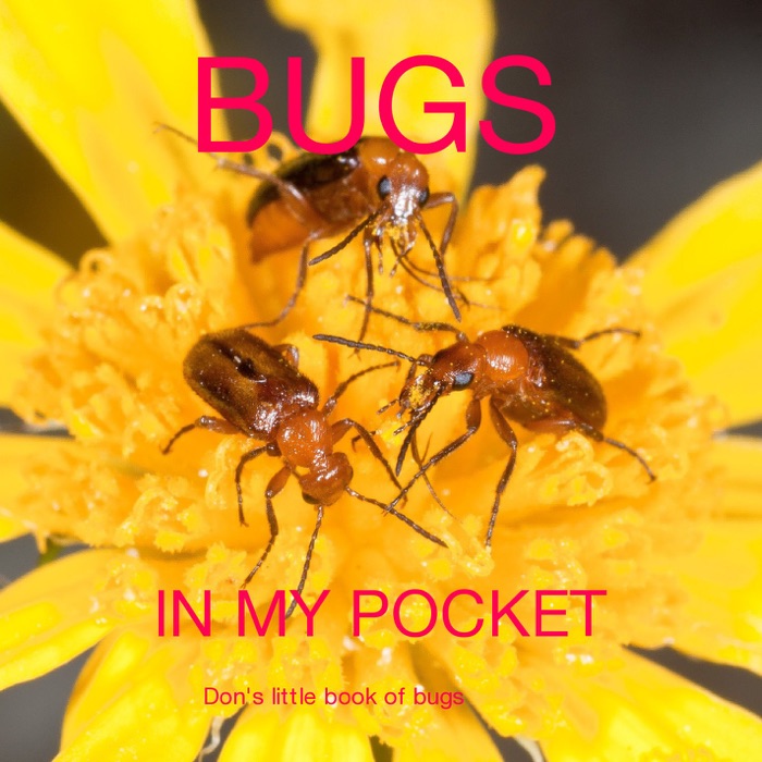 Bugs In My Pocket