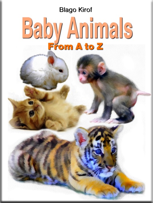 Baby Animals from a to Z