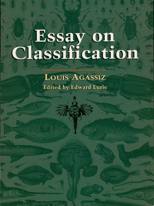 Essay on Classification