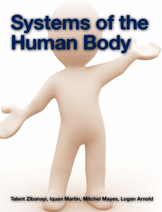 Systems of the Human Body
