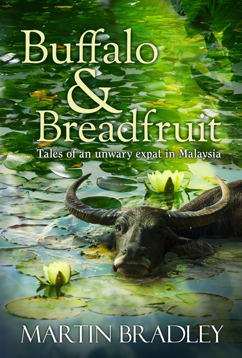 Buffalo & Breadfruit