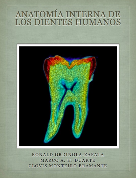 Anatomía interna de los dientes humanos