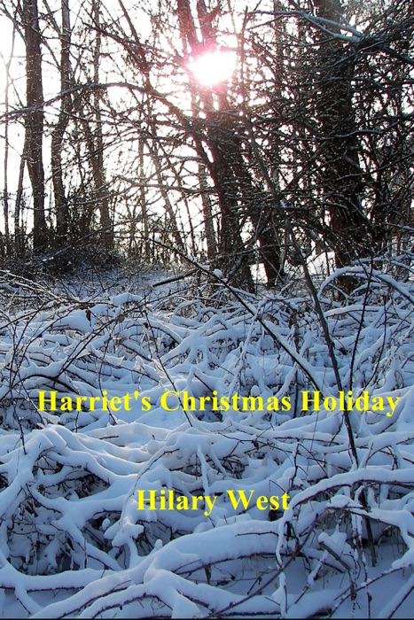Harriet's Christmas Holiday