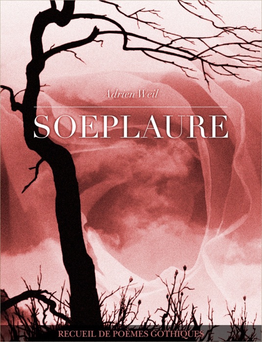 Soeplaure