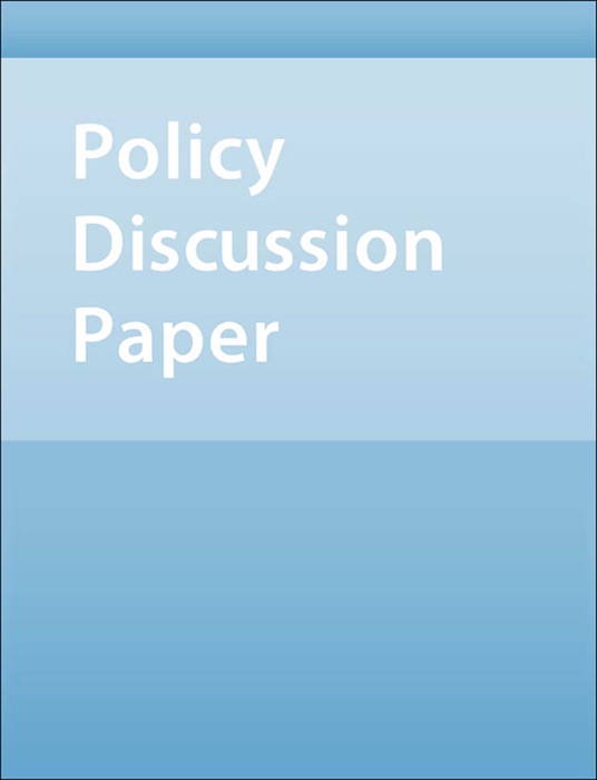 IMF Paper on Policy Analysis and Assessment: Fiscal Accounting of Bank Restructuring