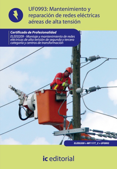 Mantenimiento de redes eléctricas aéreas de alta tensión