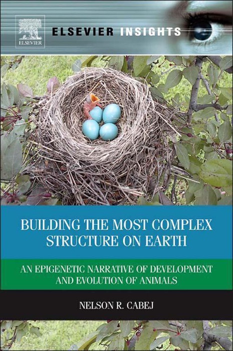 Building the Most Complex Structure on Earth (Enhanced Edition)