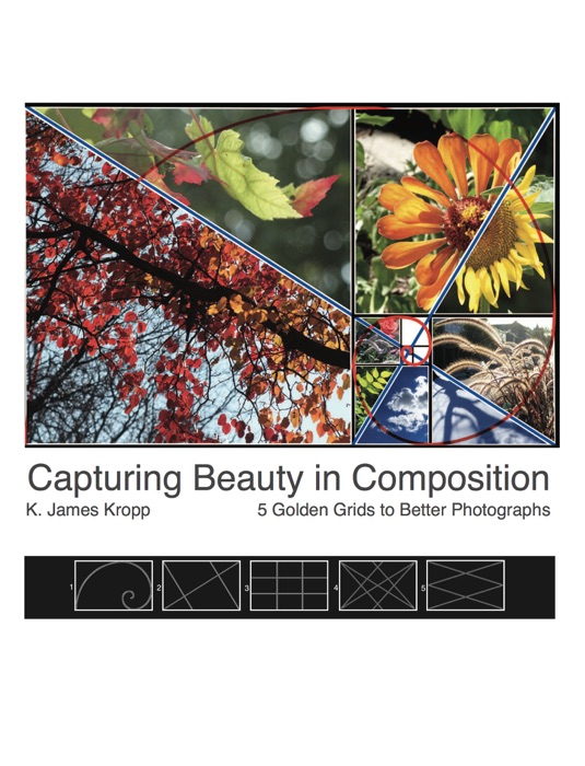 Capturing Beauty in Composition