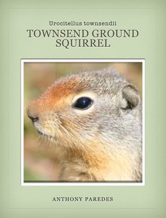 Townsend Ground Squirrel