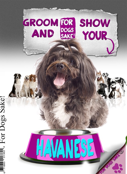 Grooming and Showing Your Havanese