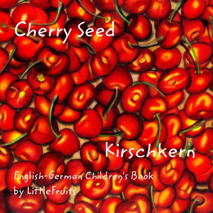 Cherry Seed Kirschkern