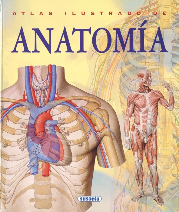 Anatomía