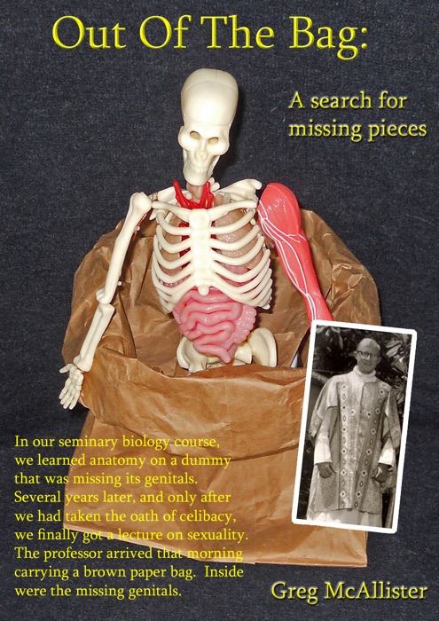 Out of the Bag: A Search for Missing Pieces