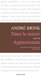 Book's Cover of Dans le miroir