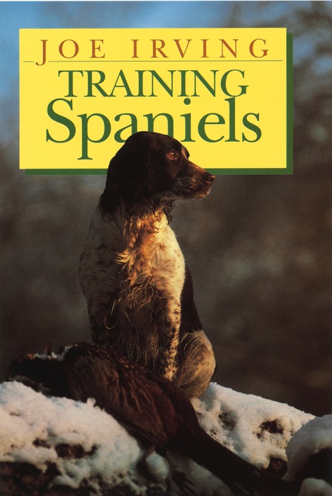 Training Spaniels