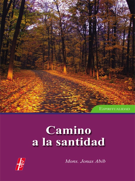 Camino a la santidad