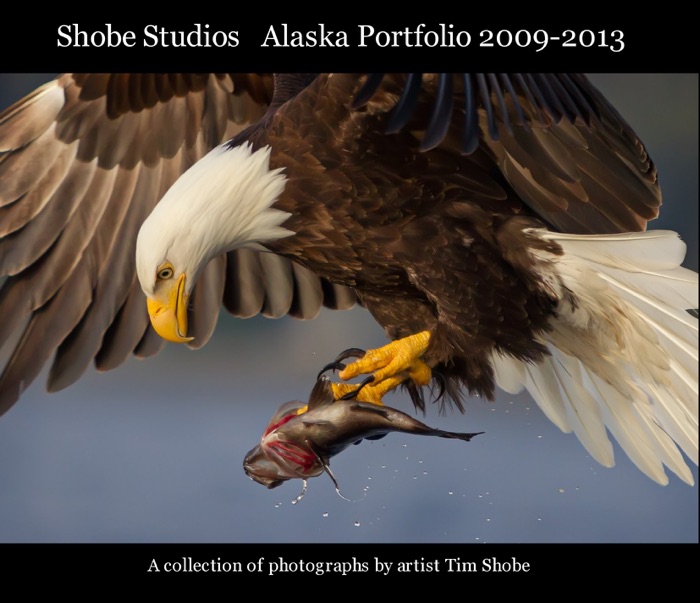 Shobe Studios Alaska Portfolio 2009-2013