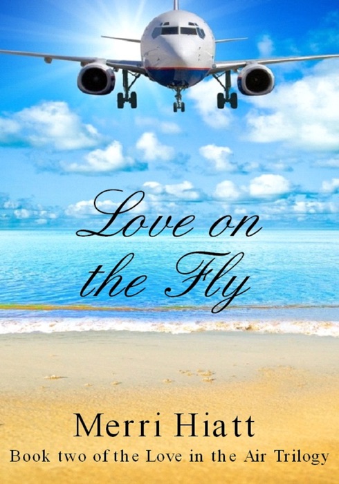 Love On the Fly (Book Two of the Love in the Air Trilogy)