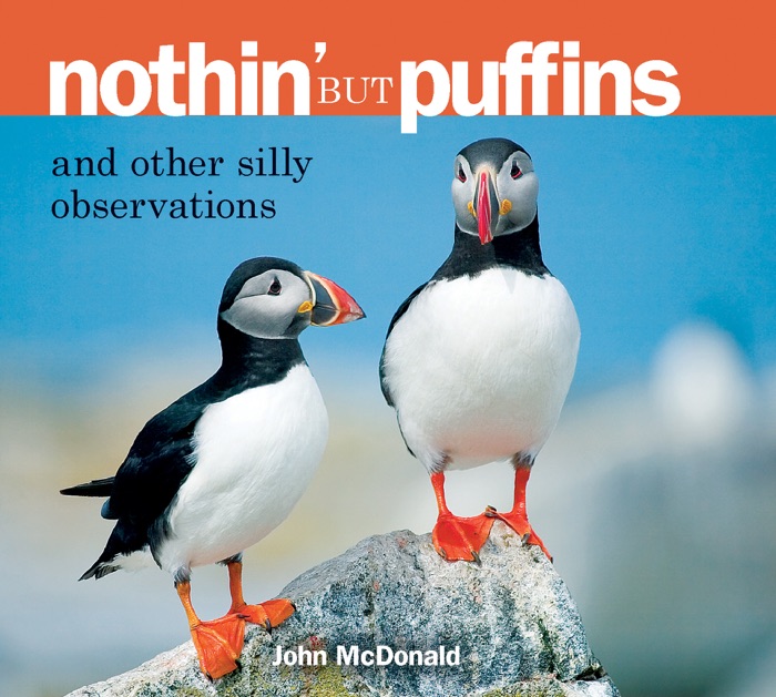 Nothin' But Puffins