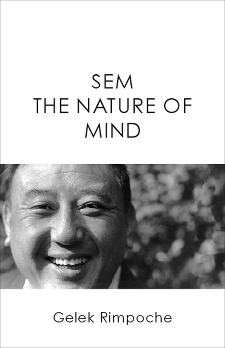 SEM The Nature of the MInd