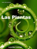 Las plantas