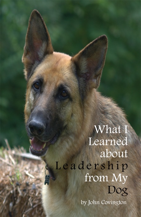 What I Learned About Leadership From My Dog