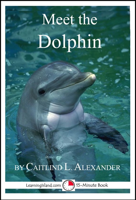Meet the Dolphin: A 15-Minute Book