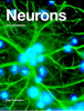 Neurons - Paul Robinson