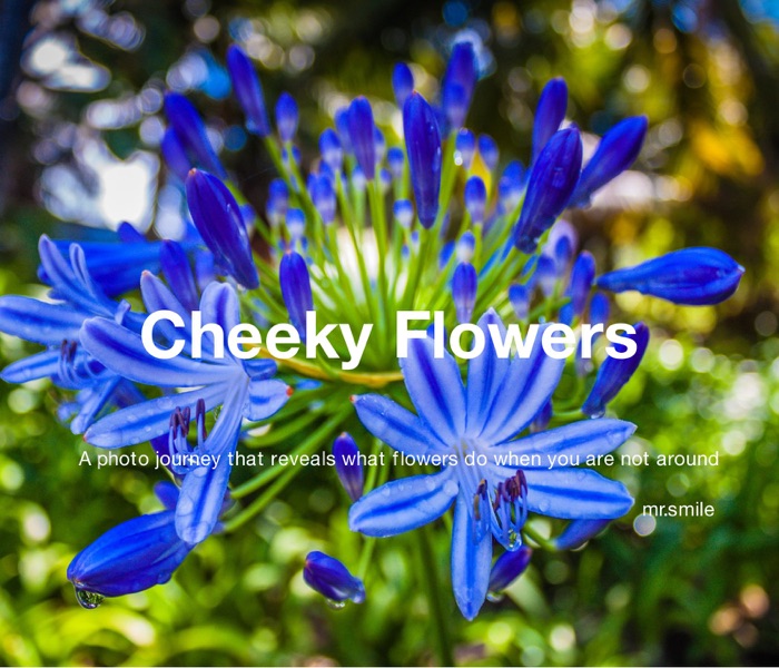 Cheeky Flowers