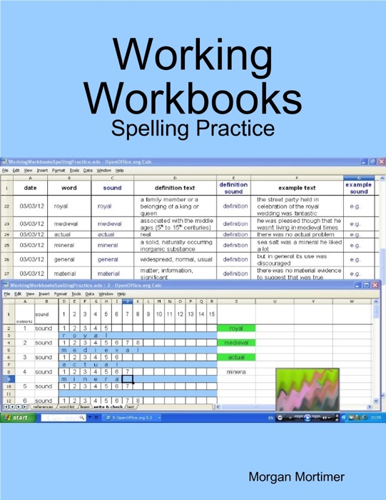 Working Workbooks