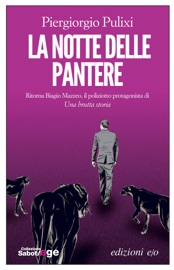 La notte delle pantere