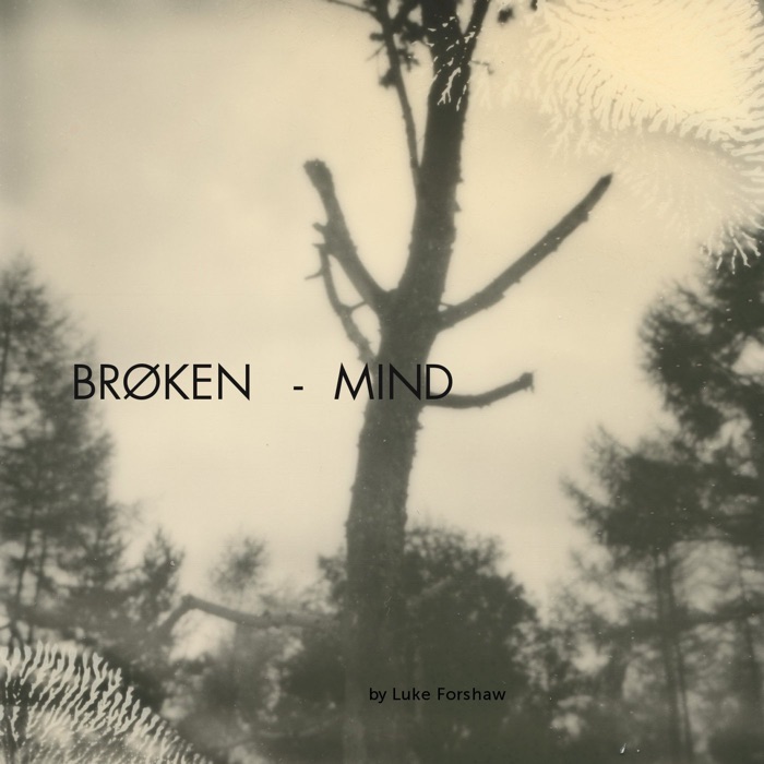 Broken Mind