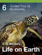 E. O. Wilson’s Life on Earth Unit 6 E. O. Wilson’s Life on Earth Unit 6