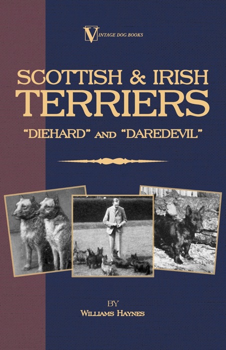 Scottish Terriers And Irish Terriers