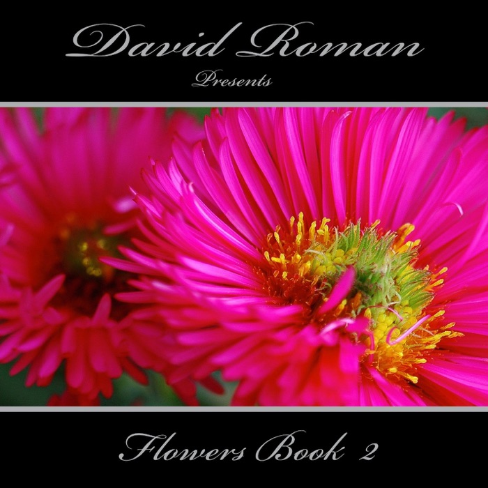 David Roman Presents Flowers 2