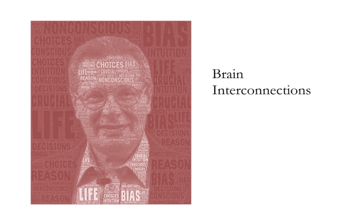 Brain Interconnections