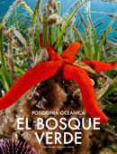 Posidonia oceanica - Nora Cámara Fernández & Francisco Javier Murcia Requena