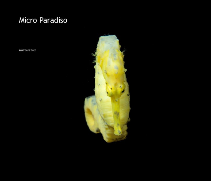 Micro Paradiso