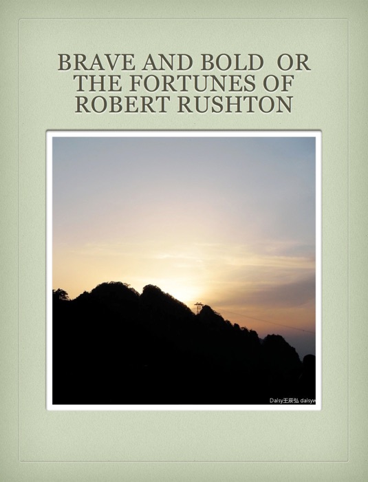 Brave And Bold  Or  The Fortunes Of Robert Rushton