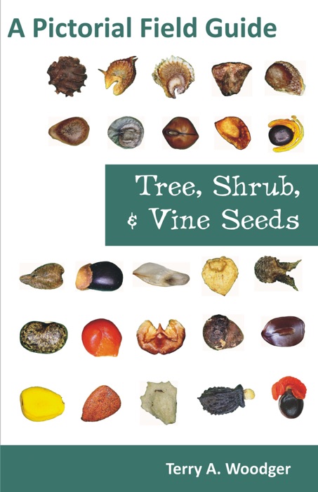Tree, Shrub, and Vine Seeds