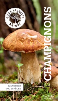 Le petit guide Hachette des champignons - Angelika Lang