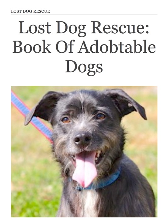 Lost Dog Rescue: Book of Adobtable Dogs
