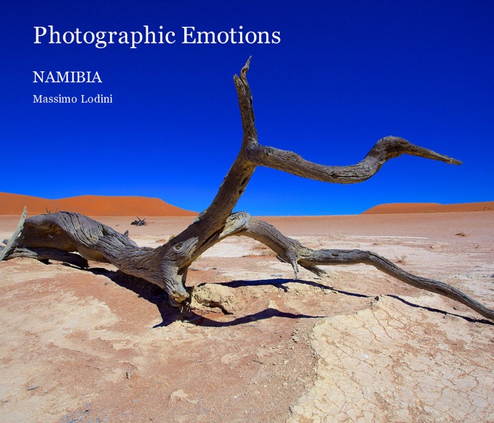 Photographic Emotions