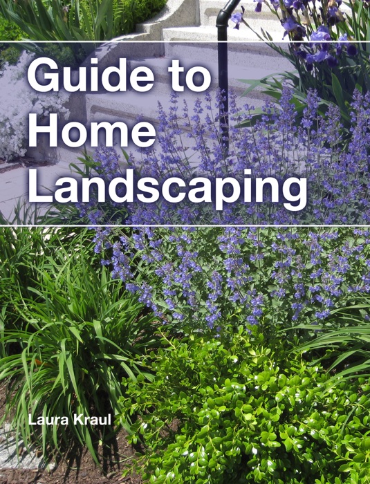 Guide to Home Landscaping