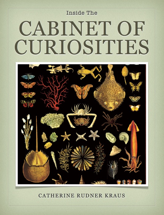 Inside the Cabinet of Curiosities