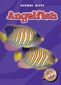 Angelfish - Colleen Sexton