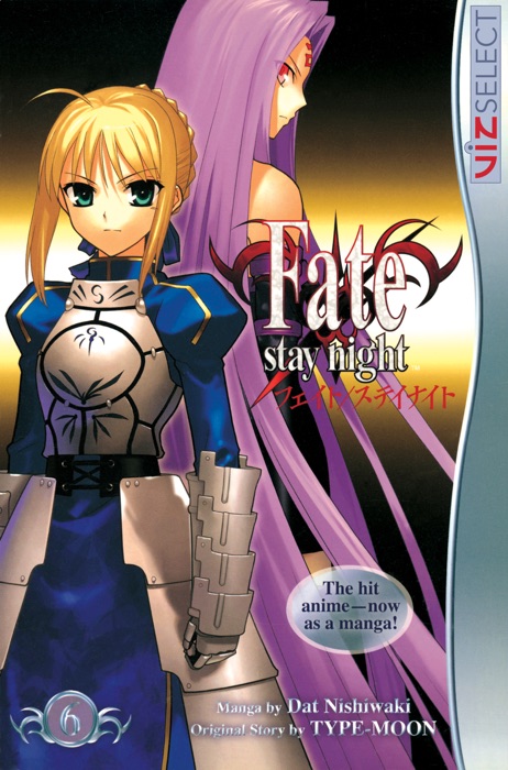 Fate/Stay Night, Vol. 6