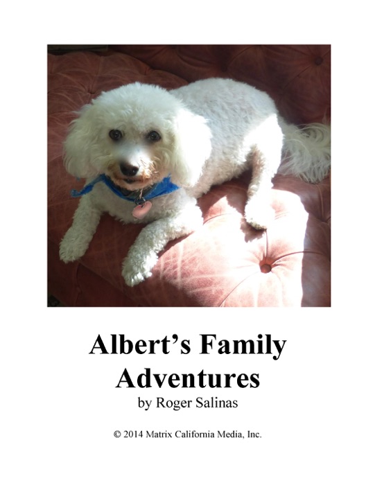 Albert's Family Adventures