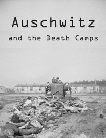Auschwitz and the Death Camps
